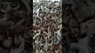 Sona metals shredded brass scrap