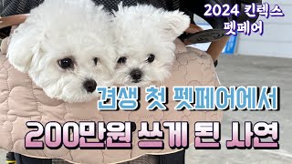 [체리블리 no.9] 2024 킨텍스 펫페어 | 강아지축제 | 강아지 일상 VLOG | 일산 킨텍스 | 애견박람회 | 펫페어 후기