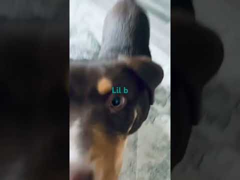 Lil B - YouTube