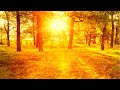 432hz Positive Vibe Morning Music 😍 Super Positive Wake Music