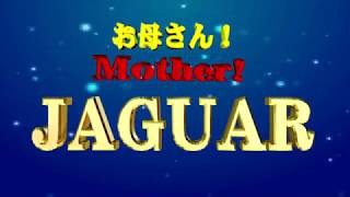 JAGUAR - お母さん！