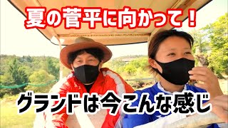 菅平の夏に向かって【グランド整備】今こんな感じ