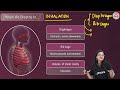 respiration in organisms class 7 full chapter under 20 mins byju s