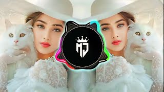 Mahi Aave Ga x Chosen (Mashup) | Noor Jehan x Sidhu Moose Wala x Bohemia | Prod. AWAID |@DM REMIX 8