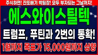 에스와이스틸텍 - 트럼프 취임 이후 주가 급등 시작 에스와이스틸텍 주가 전망 및 대응