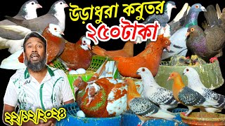 উড়াধুরা কবুতর কিনুন ২৫০ টাকা ডিম বাচ্চা সহ অসংখ্য কবুতর সবচেয়ে কমদামে কবুতর কিনুন