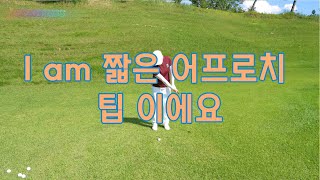 짧은 어프로치 이제 자신있게 스윙#골프