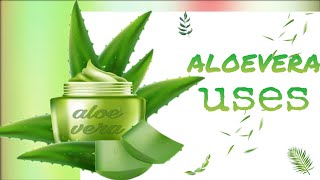 Amazing benefits and uses of aloe vera||కలబంద యొక్క ఉపయోగాలు