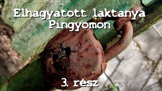 Pingyom MN 105/1 laktanya bejárása 3. rész 2016/ #13