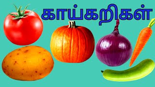 காய்கறிகள் தமிழில் | Learn Vegetable Names in Tamil | Vegetables song | Fun Cartoons | Learn Tamil