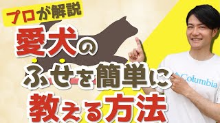 【新事実】その『伏せ』間違ってますよ！『伏せ』の教え方