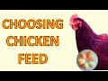 How I choose chicken feed for laying hens