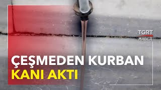 Çeşmeden Kurban Kanı Aktı