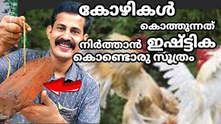 കോഴികൾ കൊത്തുകൂടിചാവില്ല ഒരു കിടിലൻസൂത്രവിദ്യ chicken farming increstip/egg increased Btech mixmedia