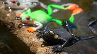 Bobbin' Frog Lure Swimming Action | Chasebaits