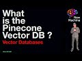 What is the Pinecone Vector DB ?