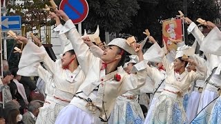 よさこい東海道 2016「勇舞会」