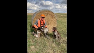 Montana Upland Hunting 2021 Part 1