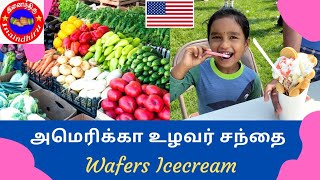 அமெரிக்கா உழவர் சந்தை | USA Farmers Market #Inaindhiru #UsaVlogsInTamil #AmericaVlogsInTamil #UsVlog