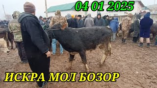 ИСКРА МОЛ БОЗОРДА НАРХИ НАВОЛАР ЖИГАРЛАРИМ 04 01 2025