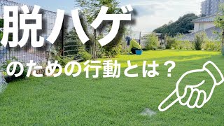 芝生作業　キワ刈り（ハサミ）しながら芝生の根本改善について考えてみました。