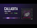 calladita mick3.b feat young g visual