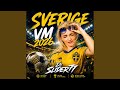 Bollen i mål VM 2026