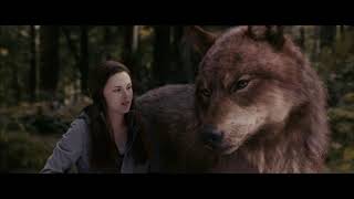 Twilight Eclipse Wolf Scenes