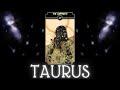 TAURUS ❤️THEY'RE EXPOSING THEIR TRUE FEELINGS FOR U❗ENDING STRUGGLE WITH KARMIC😮 OCTOBER 2024 TAROT