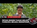 Sensasi Wisata Petik Melon Fujisawa, Ditanam Secara Hidroponik Oleh Petani Lokal | AKIS tvOne