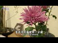 【人間菩薩】陳秀鸞