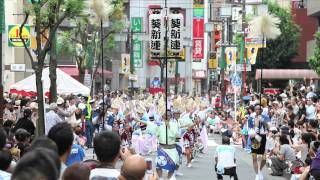 TOKYO KOENJI AWAODORI 2011【HD Video】高円寺阿波おどり