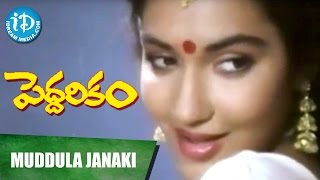 Muddula Janaki Video Song ||  Peddarikam Movie || Jagapati Babu, Sukanya || Raj-Koti