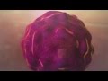 Apoptosis Animation