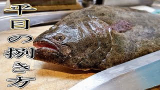 [ヒラメ編]魚屋アングラーが勧める魚の三枚おろし