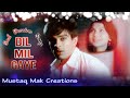 Dil Mil Gaye | Humse Hasi Humse Khushi | Title Song Sad Version