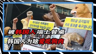 躲过欧美人的叉子，却被韩国人端上餐桌，韩国人为啥爱吃狗肉？