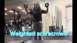 Weighted scarecrows