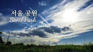 KOREA, 서울, 공원 (2), 사색 (145), Seoul, Park, 마음의 울림을 주는 영상, 마음이 밝아지는 영상, 사색의 시간, 동기부여, 긍정, 변화