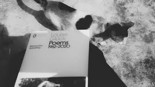 Posthuman discourse