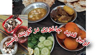 اولین قدید(لاندی)جاغوری در کویته پاکستان رسید #jaghori #quetta #food #hazaragivlog