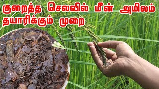 குறைத்த செலவில் Tank Cleaner மீன் மூலம் மீன் அமிலம் தயாரிப்பு | Fish amino acid | meen amilam