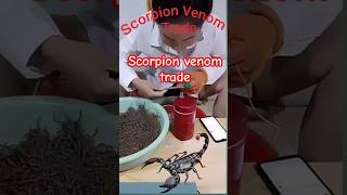 Scorpion venom trade  🦂🦂🦂🦂 #kingscorpion #scorpion  #insects #wildlife