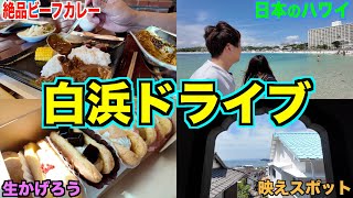 【南紀白浜】絶品カレー&絶景のお寺に白良浜など白浜半島周遊ドライブ♪