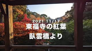 東福寺の紅葉 2021 11/17