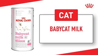 Babycat Milk