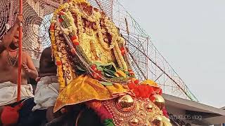 Ettumanoor mahadeva temple. ഏറ്റുമാനൂർ ആറാട്ട്...