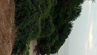 MEENKUNNU BEACH KANNUR AZHIKODE