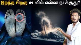 மனித உடல் எப்படி மக்கி போகுது தெரியுமா😳😳 | Stages of human body decay after death | Uyirmei