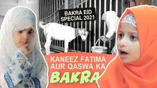 Kaneez Fatima aur Qaswa Ka Bakra | Kaneez Fatima Bakra Eid Special 2021 | Eid ul Adha 2021